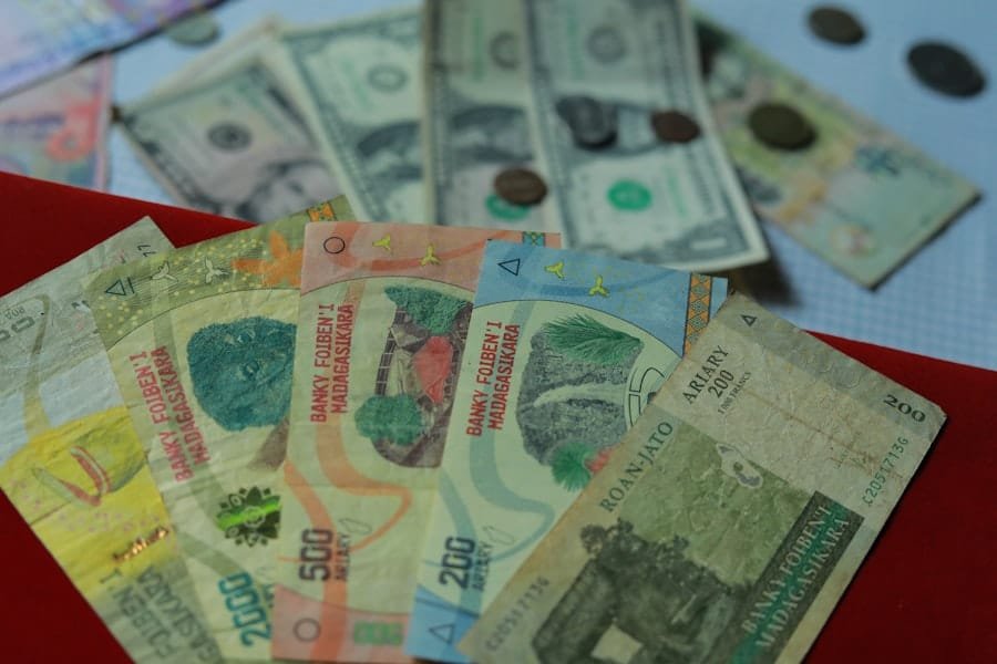 International Economic Organizations Respond to Global Crises