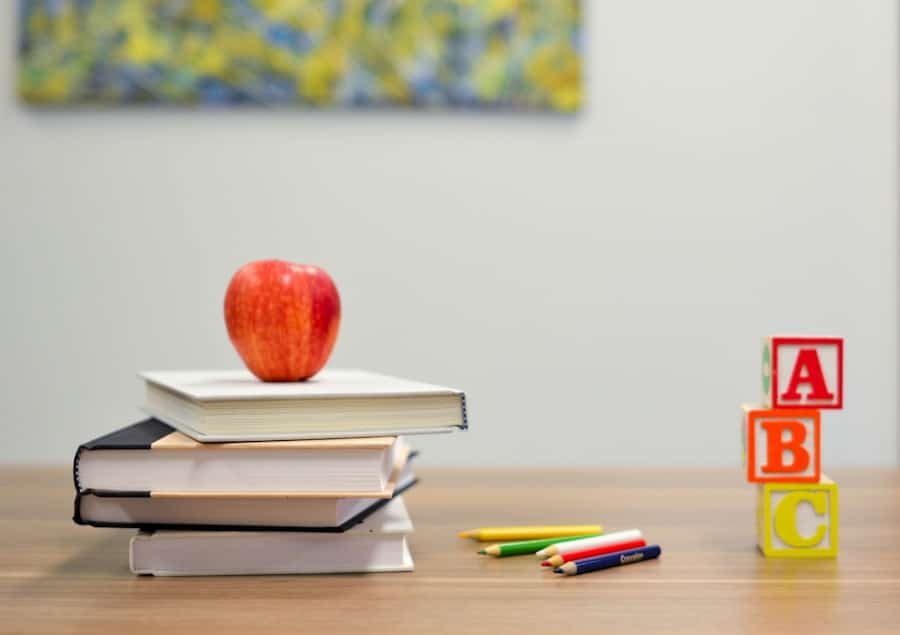 Education Access and Its Impact on Income Disparities