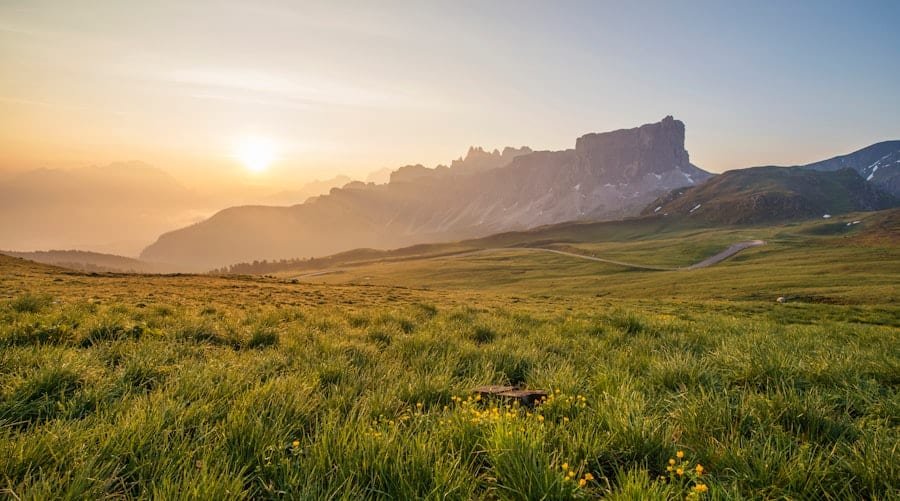 Assessing Climate Change Impact on Agricultural Productivity