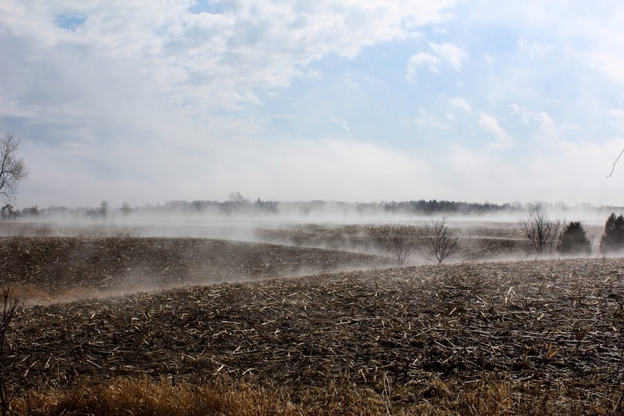 Economics of Crop Diversification and Its Benefits