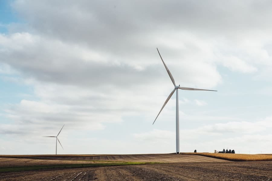 Climate Change Policies on Economic Development