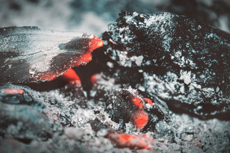 Carbon Pricing Policies