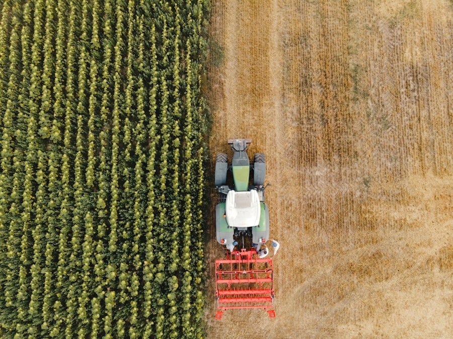 Impact of Land Reform Policies on Agriculture