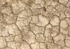 Photo Carbon offset