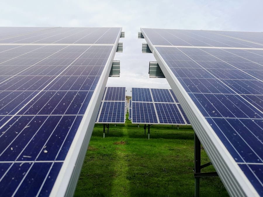 Technology in Sustainable Development