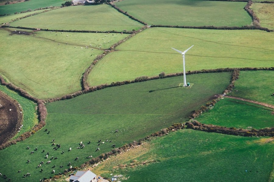 Non-Renewable Resources