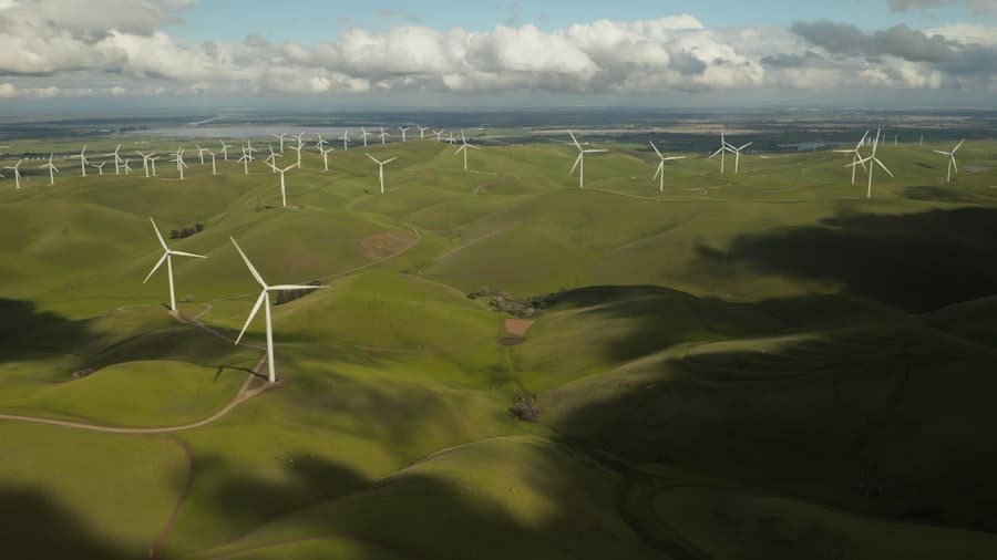 Carbon Pricing Policies