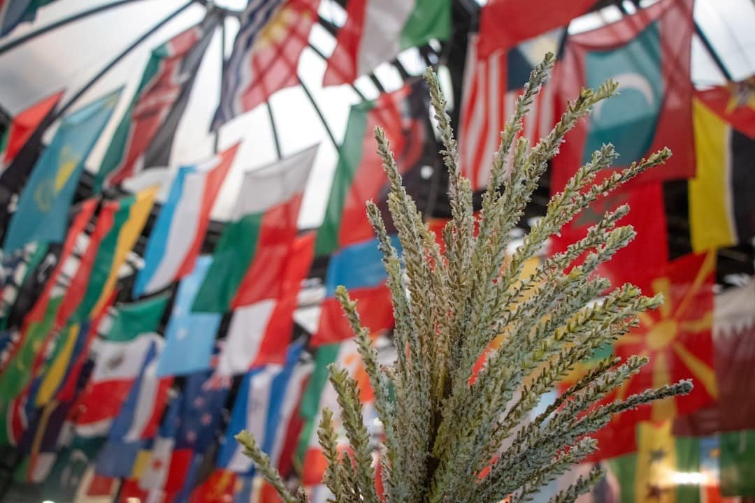 Photo United Nations